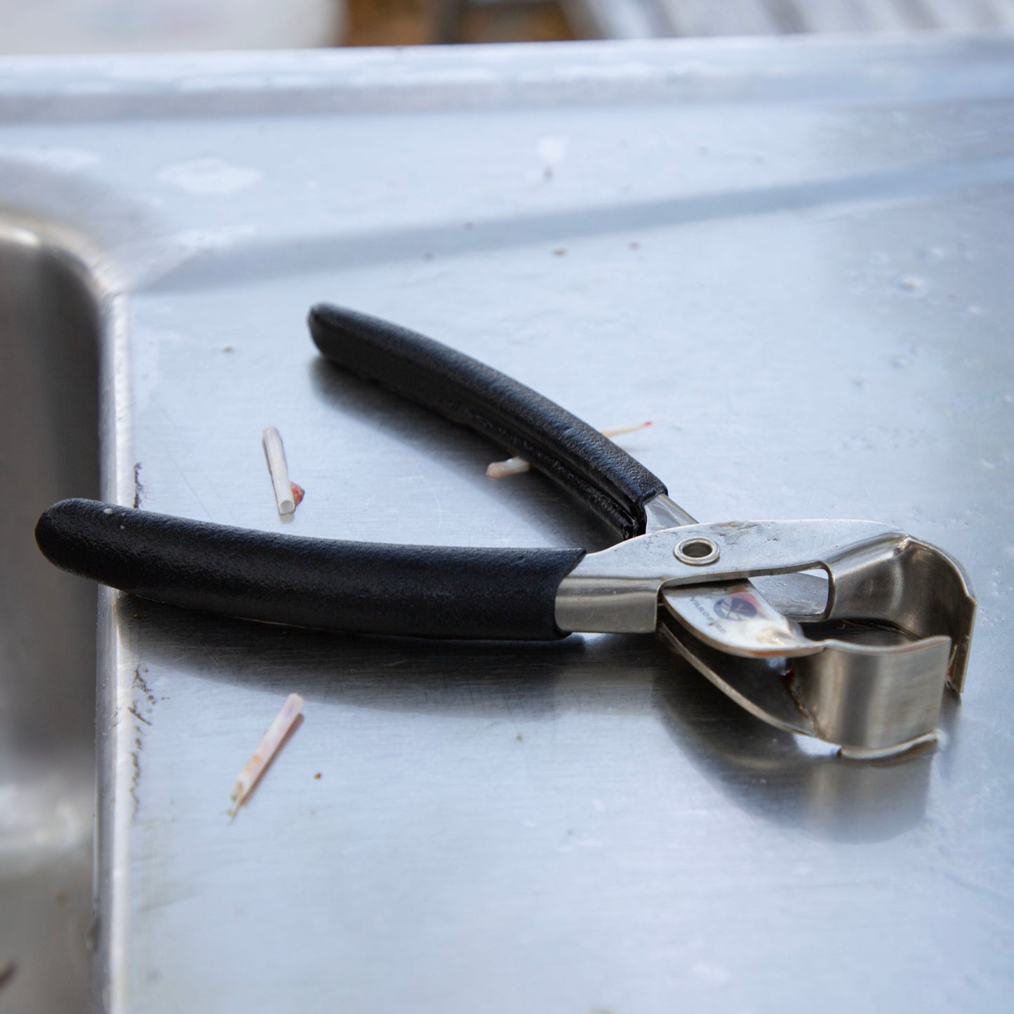Yardbird Poultry Pin Feather Puller